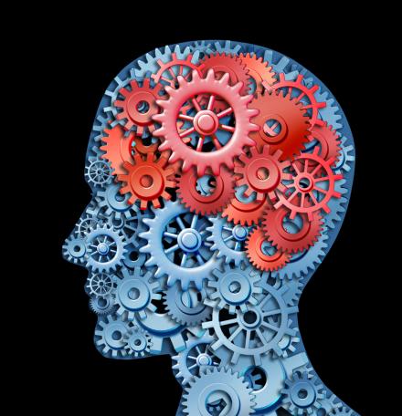 brain 2
